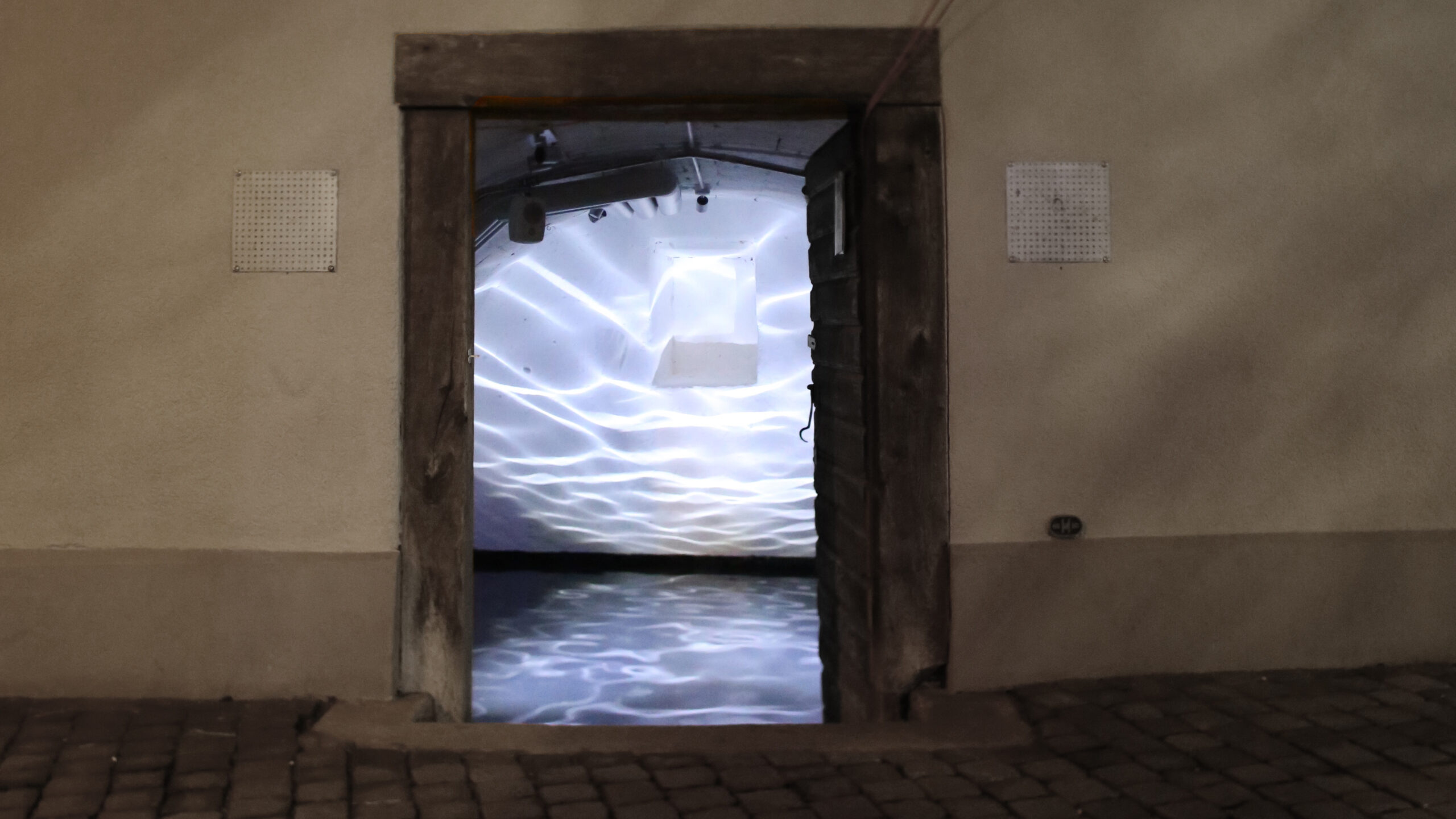 Untitled (O.L II), 2024